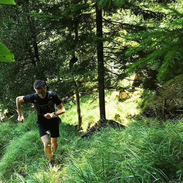 Trailrunning: Das Wesentlichste in Kürze.