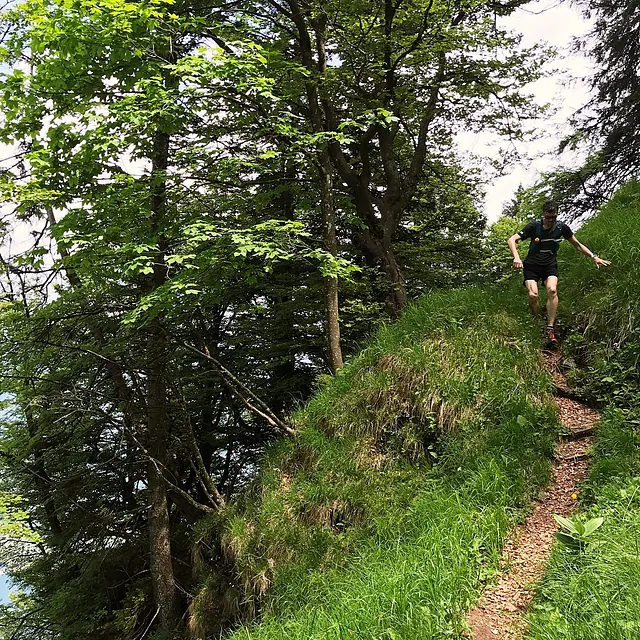 Hütet euch vor einfallslosen und einseitigen Trainingsreizen.